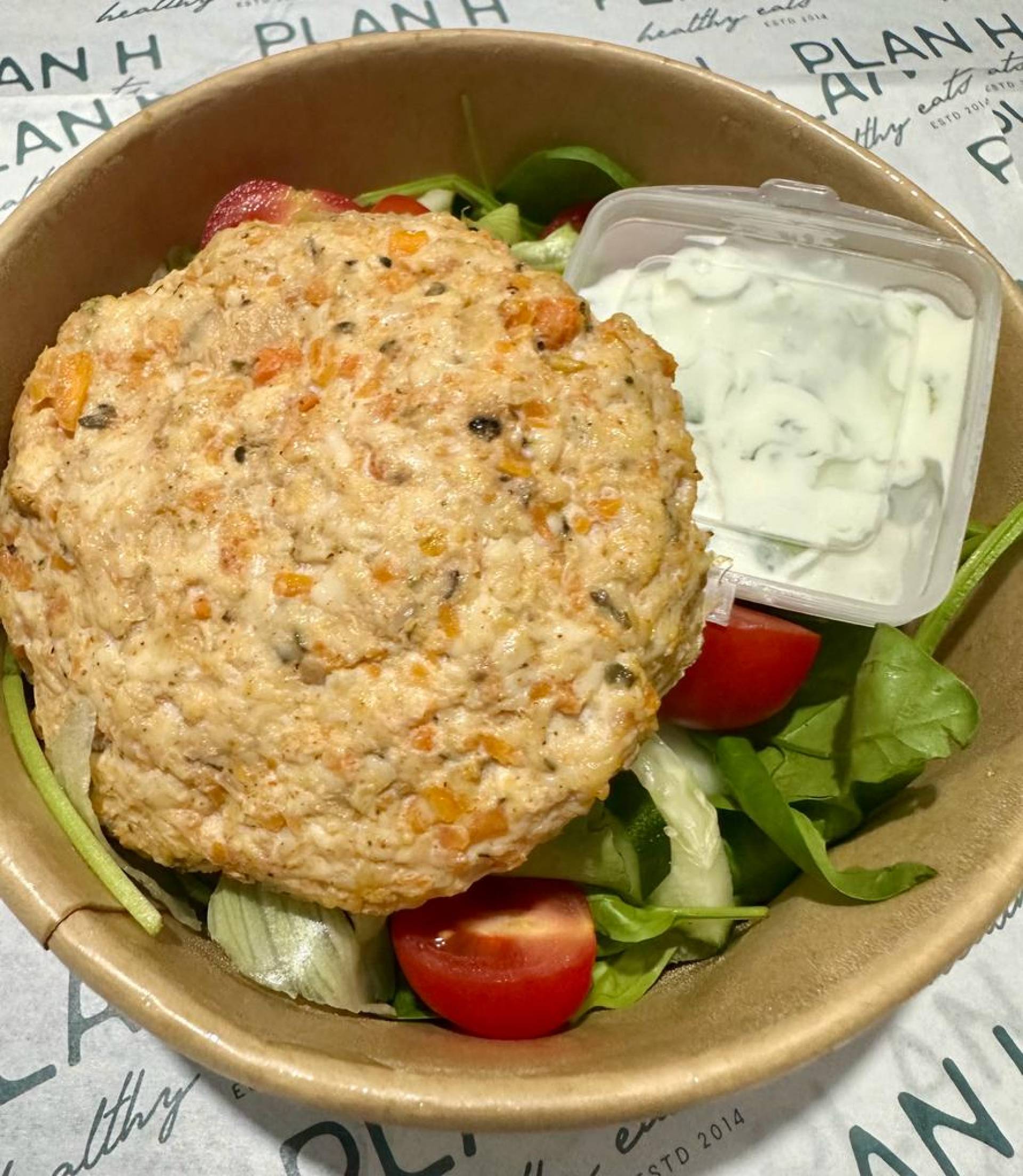 MM 95 - CHICKEN BURGER w/ Green Salad & Tzatziki